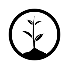 One Tree Planted 