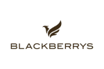  Blackberrys